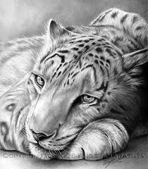Easy techniques for drawing people, animals, flowers and nature. 40 Realistic Animal Pencil Drawings Realistic Animal Drawings Pencil Drawings Of Animals Realistic Drawings