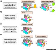Nombre d'injections de vaccin effectuées chaque jour. Directed Evolution Of Crispr Cas Systems For Precise Gene Editing Trends In Biotechnology