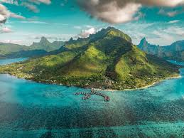 Image result for Mohria