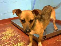 Filled with prizes and fun, the first 200 entries are guaranteed to be. Pin On Save Me