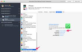 Iphone Backup Extractor Recover Ios Data From Itunes And Icloud Backups Icloud What Is Iphone Backup