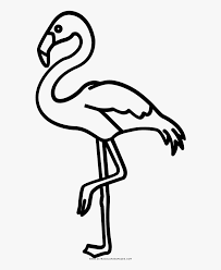 Then draw the neck and back of the flamingo. Flamingo Drawing Outline Flamingo Clipart Silhouette Hd Png Download Kindpng