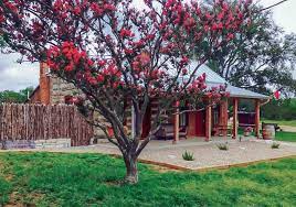 Check spelling or type a new query. 12 Of The Most Romantic Cabins In Fredericksburg Tx 2021 Updated Roaming The Usa