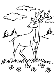 Lumea vie animale domestice materiale didactice cunoașterea medi. Imagini Pentru Colorat Cu Animale Salbatice Gratuit Pentru A Imprima