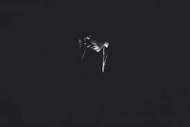Under the skin is a 2019 adventure video game developed by the spanish company pendulo studios and published by microïds. 750 Black Sad Pictures Download Free Images On Unsplash