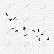 مجموعة من الطيور web app design template design page design