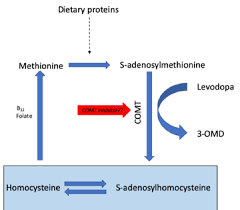 Image result for COMT Inhibitor