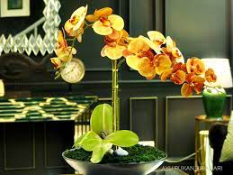 Bunga orkid.ini memang mahal kalau jual di kedai.kalau nak jimat baik buat sendiri.jadi.jangan lupa untuk cuba dirumah. Aku Bukan Bidadari Diy Gubahan Mudah Hiasan Bunga Orkid