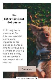 #celebraciones cada 21 de julio es el día mundial del perro, fecha en que se homenajea este ser de cuatro patas que por muchos años, ha sido considerado el mejor amigo del hombre. Pin En Articulos Blog Noticias Y Curiosidades