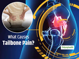 Discover over 886 of our best selection of 1 on. Are You Struggling With Tailbone Pain Know How It Is Caused Identified And Diagnosed