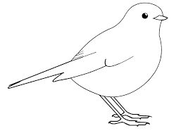 The article features different types of birds with their distinctive characteristics. Little Bird Coloring Book Razukraski Com