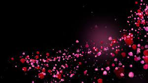 Romantic Flying Red Rose Flower Petals Love Heart Wedding Animated Backg Red Rose Flower Iphone Background Images Floral Border Design