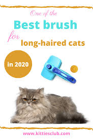 The soft, rubber fingers act as a magnet for loose fly away hairs and condition the skin as well as reduce hairball formation. Pin On Kittiesclub
