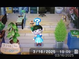 Animal Crossing New Leaf