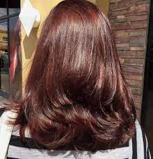 60 Impeccable Brunette Hair Colors And Shades To Try Right Now Hair Color Mahogany Brown Hair Shades Mahogany Hair