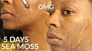 You'll be amazed at how simple it is! I Used Sea Moss Gel On My Face For 5 Days Wow Youtube