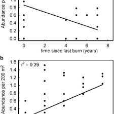 Image result for Maerua grantii