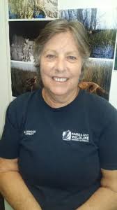 Cherie Kemp's Instagram, Twitter & Facebook