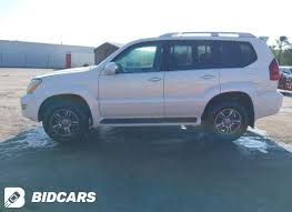 Image result for Blizzard Pearl 2008 GX