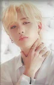 𝓓𝓪𝓷𝓲𝓮𝓵𝓪 𝓕𝓲𝓵𝓲𝓹𝓮 stray kids chan kids pictures stray