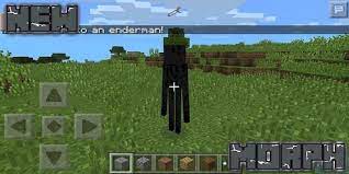 Hide morph mod minecraft pe allows you to transform into another mob of the game. Morph Mod For Minecraft Pe For Android Apk Download