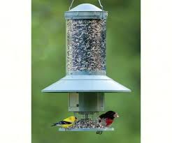 Bird Feeder For Large Birds Auto Bird Feeder Backyard Birds Feeders Bird Seed Feeders Bird Feeders