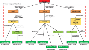 Bioma gurun dan setengah gurun. Synthesis Of A Sustainable Integrated Biorefinery To Produce Value Added Chemicals From Palm Based Biomass Via Mathematical Optimisation Sciencedirect