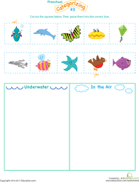 Pin On Ocean Theme Unit