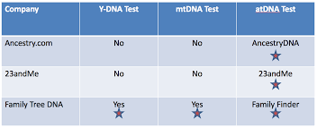 Dna Test Report Card For Genetic Genealogy Tests