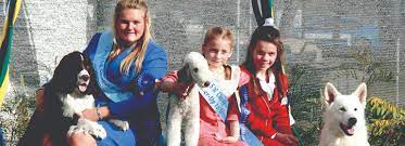 Junior Handlers