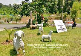 Check spelling or type a new query. House Of Kambing Maeps Serdang Sangat Sedap