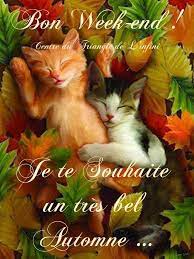 Chacun en profite, qui pour voyager, qui pour s'amuser, qui pour pratiquer un culte, qui encore pour rester à la maison et dormir. Belle Et Douce Amitie Bon Week End Je Te Souhaite Un Tres Bel Automne Facebook