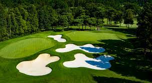 Two Green System In Play At Zozo Championship