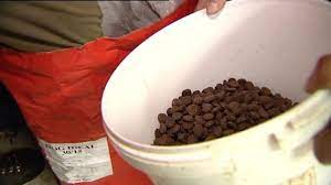 Prolonge efficacement la durã©e de la consommation de repas.avec ce bol est forcã© ã manger chaque croquette, ã©vitant les rejets pour mã¢cher rapideou aspiration des croquettes. Des Chiens Victimes De Croquettes Mortelles Chassons Com