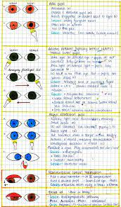My Notes For Usmle Optometry Education Eye Facts Optometry School