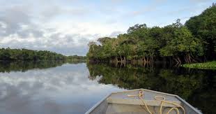 The amazon, river in south america. Den Amazonas In Peru Entdecken Regenwald Und Grune Lunge