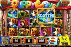 Google has many special features to help you find exactly what you're looking for. Volks Bingo Software Bingo Zahlen Generator Online
