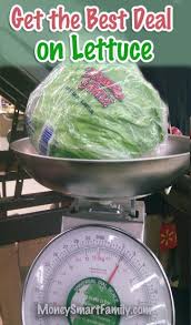 A cup in the british imperial system, on the other. Iceberg Lettuce Or Leaf Lettuce Do You Know Which One Costs More