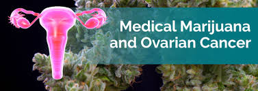 Medical Marijuana For Ovarian Cancer Marijuana Doctors