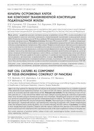 Искра мол бозори азизлар бука. Pdf Islet Cell Cultures As Component Of Tissue Engineering Construct Of Pancreas