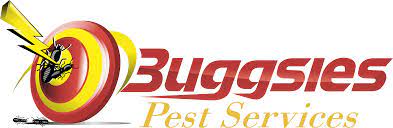 Two bedroom home with land, which can be sub divided. Buggsies Pest Services Inc Wappingers Falls Poughkeepsie Ny Pest Control