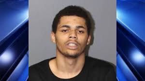 Teen arrested in West Springfield for illegal firearm, stolen vehicle