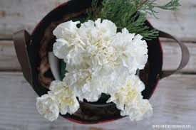 Flower, or floral, foam allows an inexperienced person to create a flower arrangement like a professional. Monday Morning Blooms Lola And Gracie Inspired Puppy Bouquet Home Is Where The Boat Is