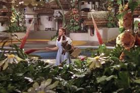 Timothy Board, Author at Grace Family Ministries