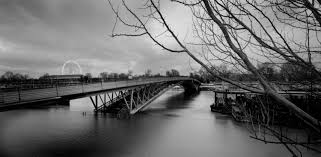 Image result for Pavetta eylesii