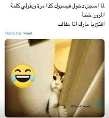 pin by zikoelf on funny and cool arabic funny really funny memes funny arabic quotes