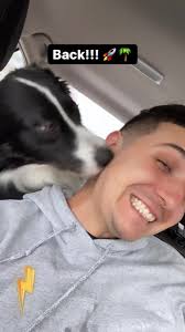 He loves giving me the neck lick when he’s happy 🤣👅👅🐶 #dogdad #doglover  #funny #dog #viral @meetoreotheaussie