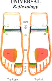 Expository Top Of The Foot Reflexology Chart Foot