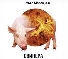ты с Марса, а я СВИНЕРА / Приколы для даунов :: разное / картинки, гифки,  прикольные комиксы, интересные статьи по теме.