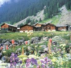 Facebook.com/erdltrk badara yaylası rakım :1850m ev: Rize Nin Yaylalari